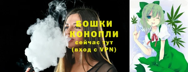 ECSTASY Кукмор