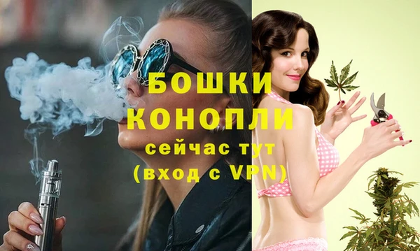ECSTASY Кукмор