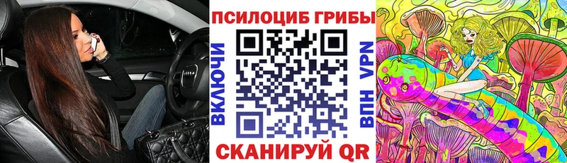 Купить  Новодвинск  Псилоцибиновые грибы Psilocybine cubensis 